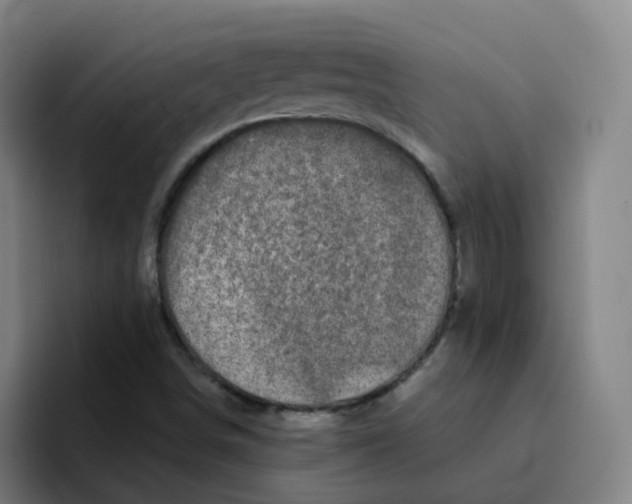 X0000094941498200712271602