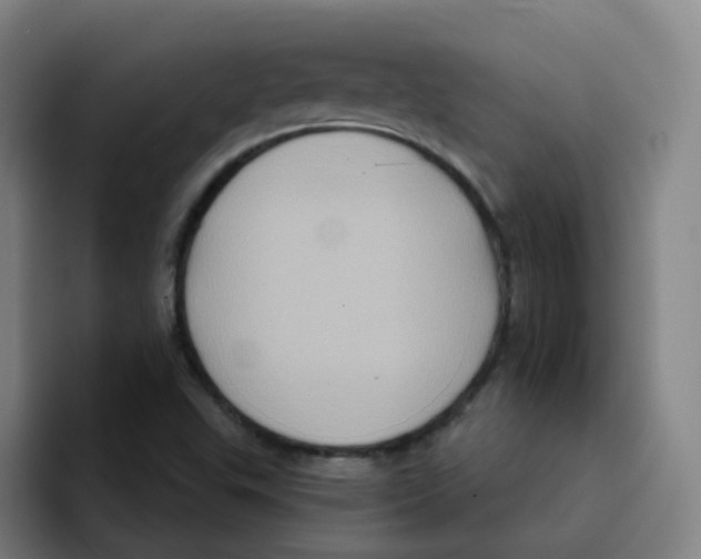 X0000094941503200712271602