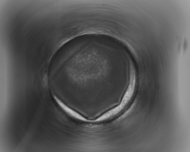 X0000094941505200712271602