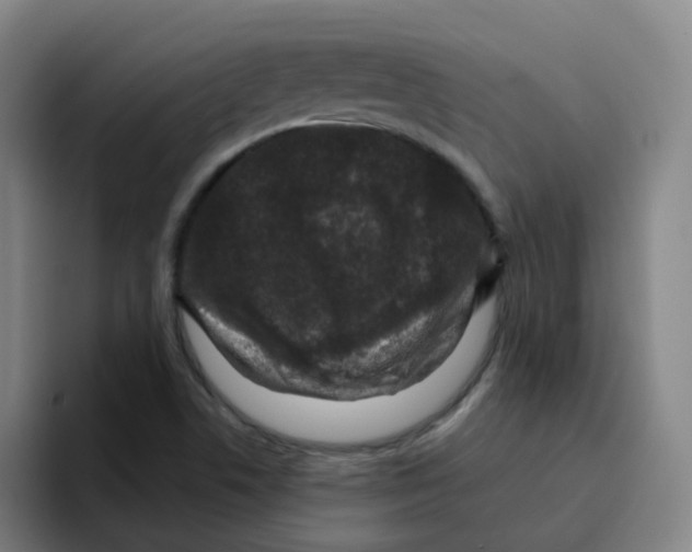 X0000094941506200712271602