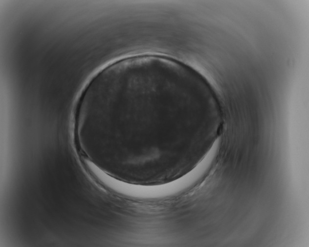 X0000094941508200712271602