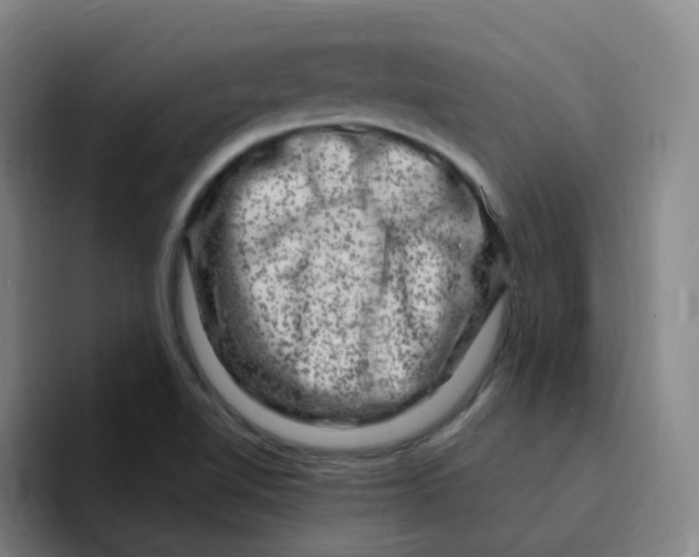 X0000094941510200712271602