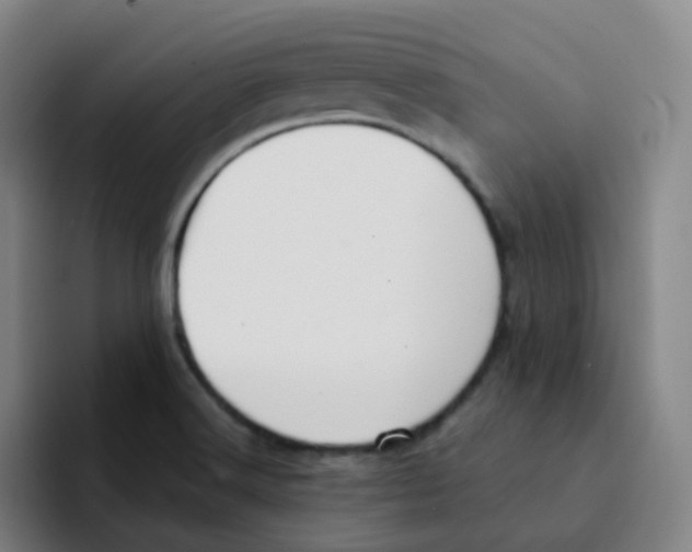 X0000094941516200712271602