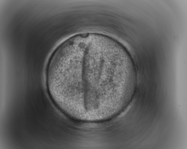 X0000094941517200712271602