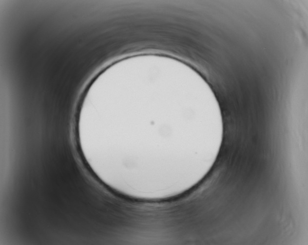 X0000094941518200712271602