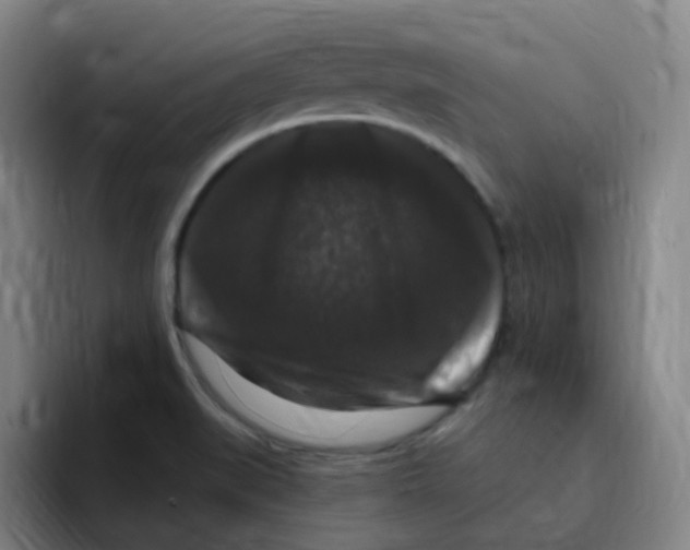 X0000094941519200712271602