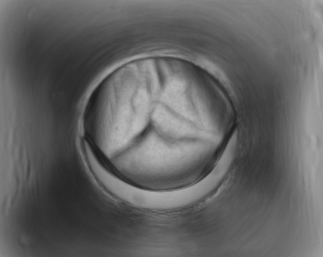 X0000094941520200712271602