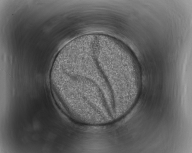 X0000094941521200712271602