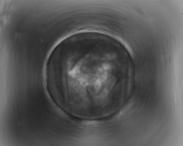 X0000094941522200712271602
