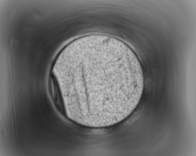 X0000094941523200712271602