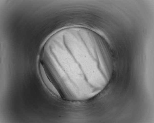 X0000094941524200712271602