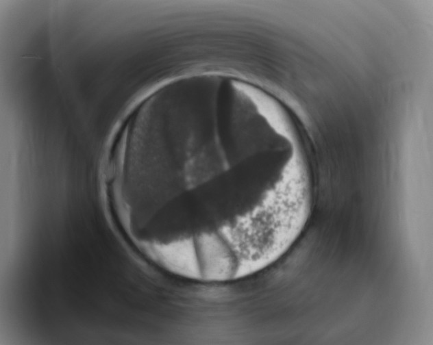 X0000094941525200712271602