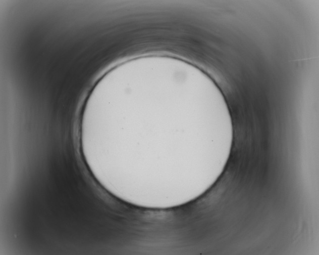 X0000094941526200712271602