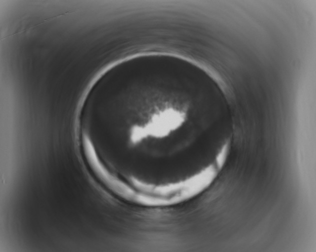 X0000094941527200712271602