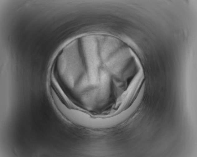 X0000094941528200712271602