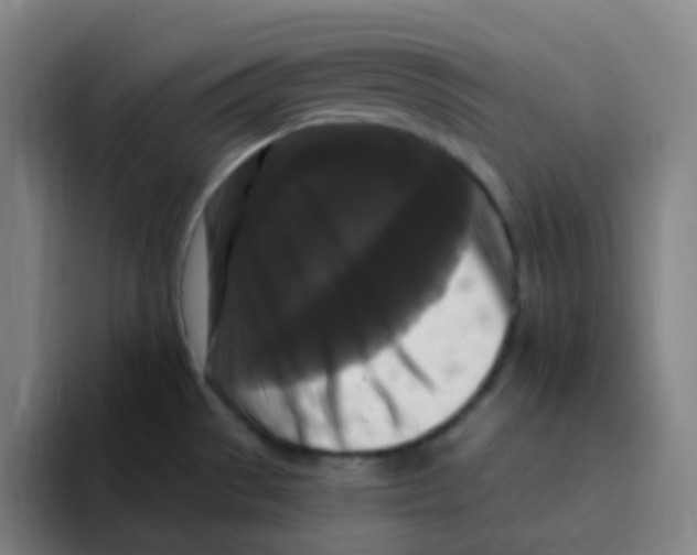 X0000094941529200712271602