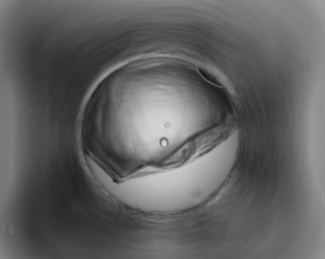 X0000094941530200712271602