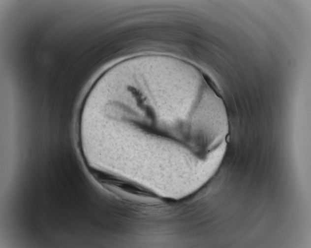 X0000094941531200712271602