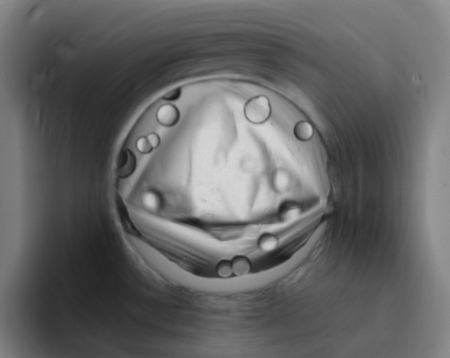 X0000094941532200712271602