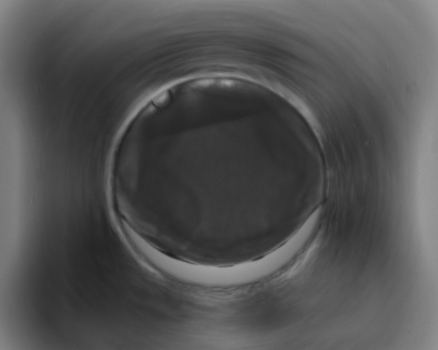 X0000094941533200712271603