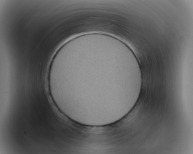 X0000094941534200712271603