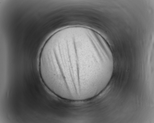 X0000094941535200712271603