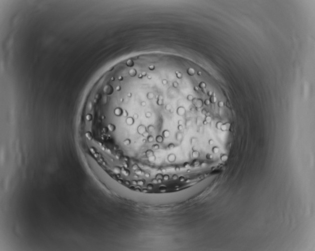 X0000094941536200712271603