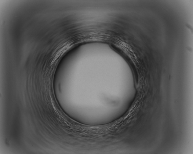X0000094950001200711291116