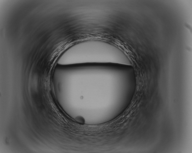 X0000094950002200711291115