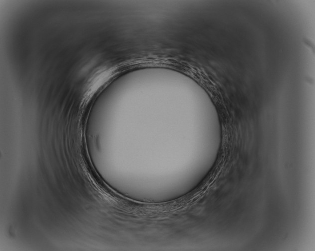 X0000094950005200711291115