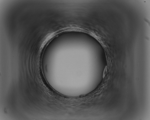 X0000094950007200711291115