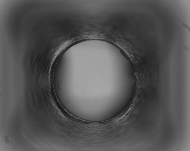 X0000094950008200711291115