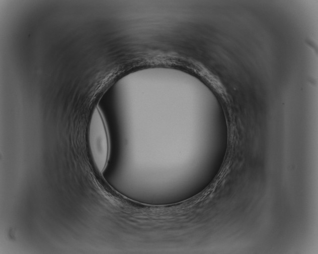 X0000094950009200711291115