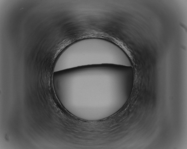 X0000094950010200711291115