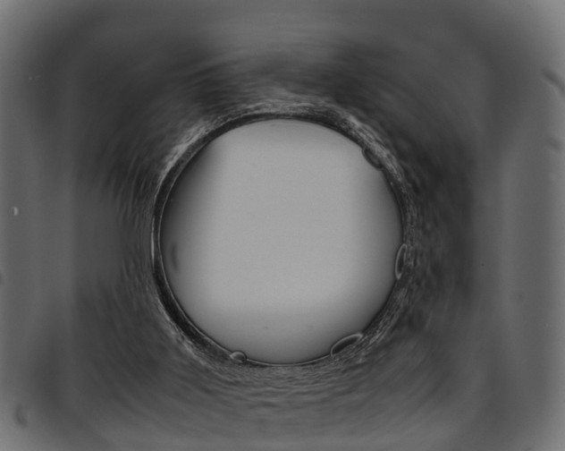 X0000094950011200711291115