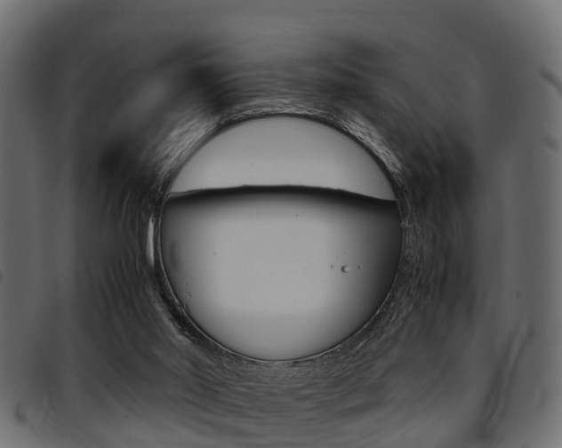 X0000094950014200711291115