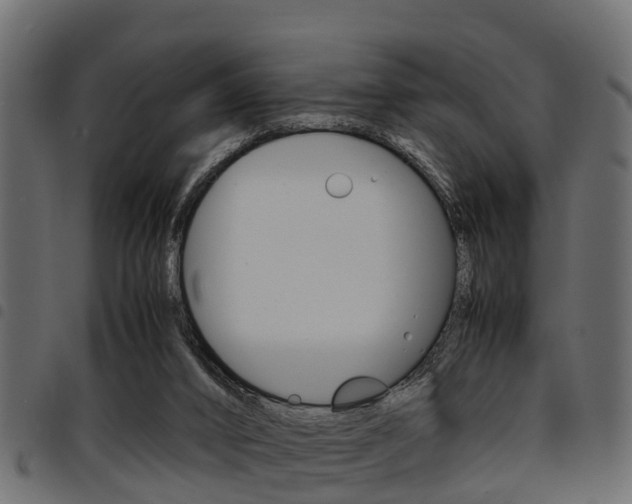 X0000094950016200711291115
