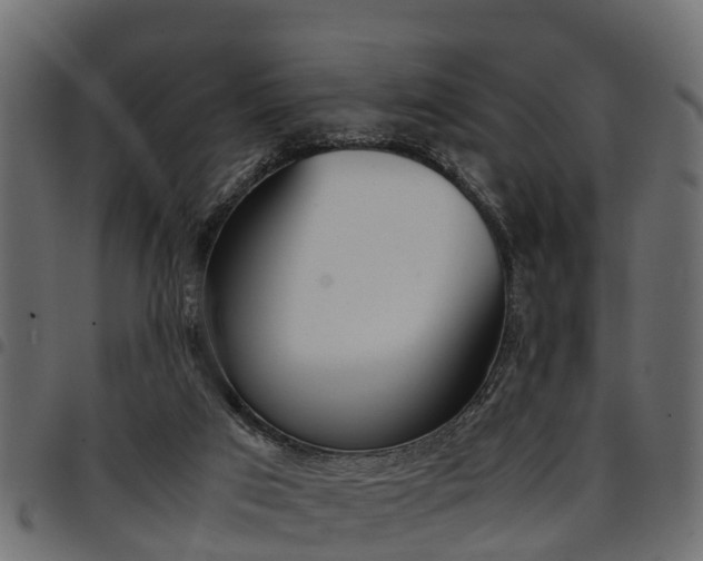 X0000094950017200711291115