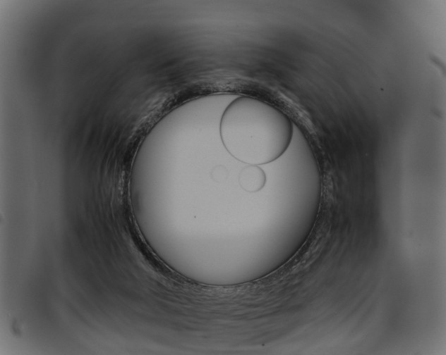 X0000094950018200711291115