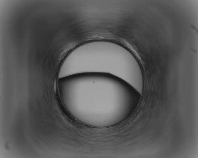 X0000094950019200711291115