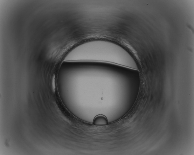 X0000094950020200711291115