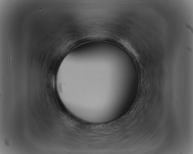 X0000094950021200711291115