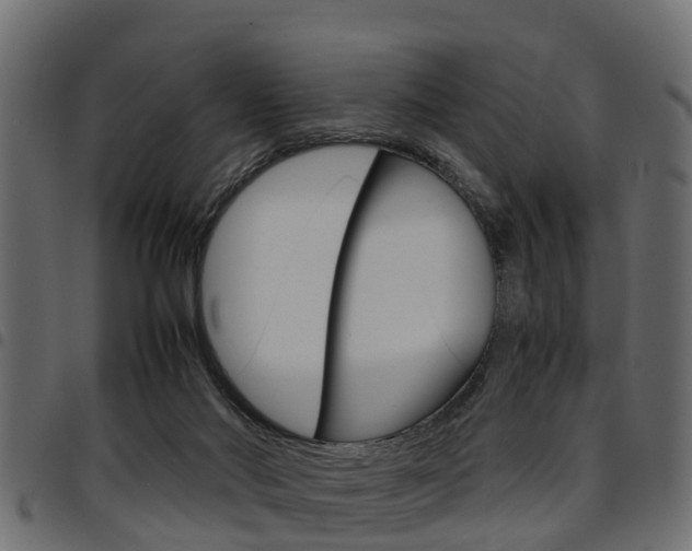 X0000094950022200711291115