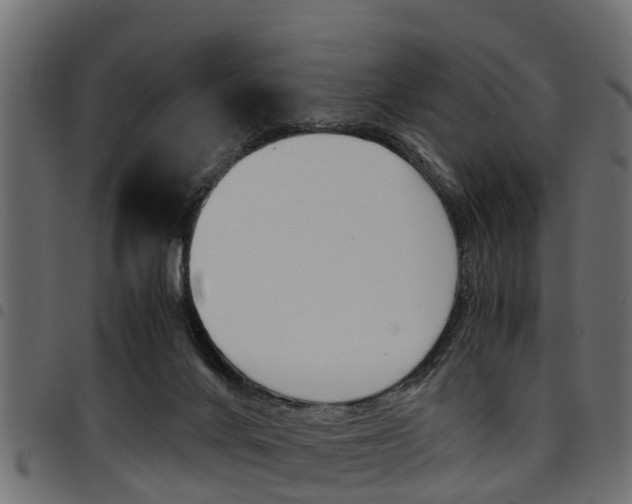 X0000094950024200711291115
