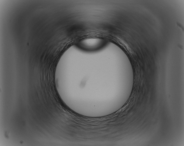 X0000094950025200711291115