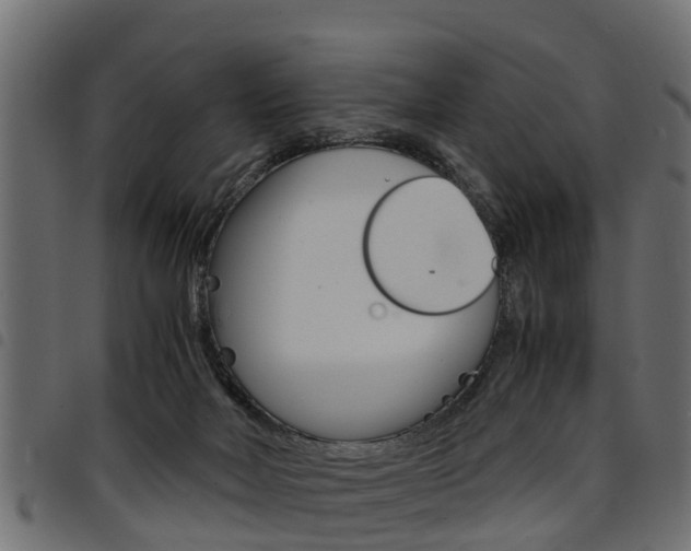 X0000094950026200711291115