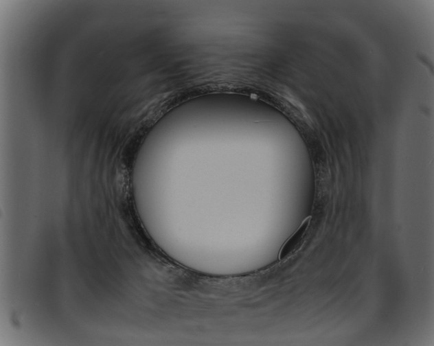 X0000094950029200711291115