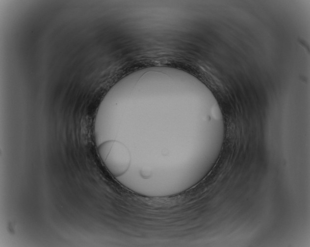 X0000094950030200711291115