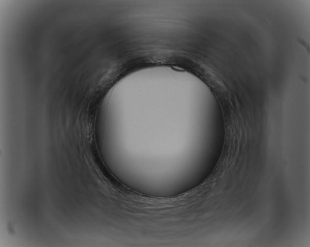 X0000094950031200711291115