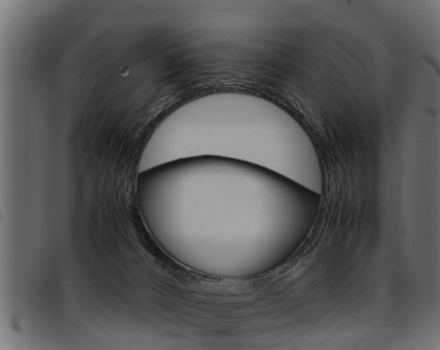X0000094950032200711291115